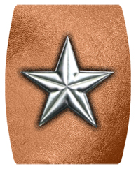 DAREC 430 SL CP Star Silver Copper
